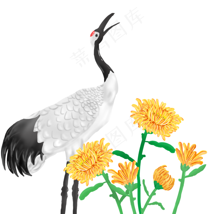 重阳节仙鹤菊花组合(3543X4724(DPI:150))psd模版下载