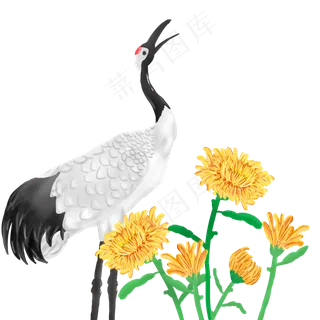 重阳节仙鹤菊花组合