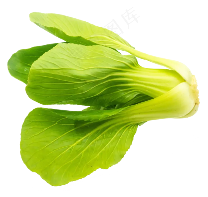 油菜蔬菜食材(3000X3000(DPI:300))