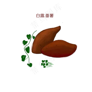 白露番薯商用元素24二十四节气