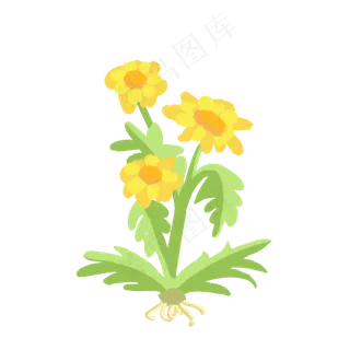 秋天美丽植物小花