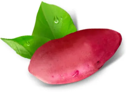 红薯 蔬菜 红薯 蔬菜