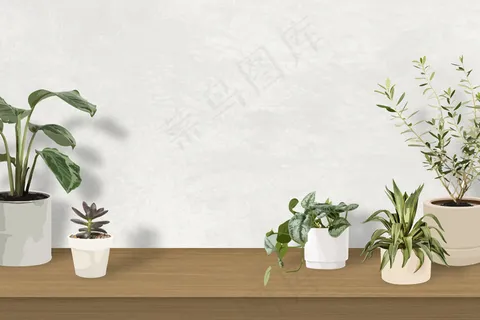 带空白墙的室内植物背景热带载体 带空白墙的室内植物背景热带载体