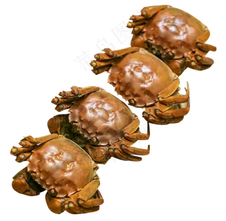 大闸蟹海鲜