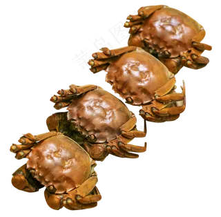 大闸蟹海鲜