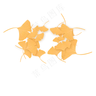 美丽黄色银杏叶元素