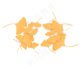 美丽黄色银杏叶元素