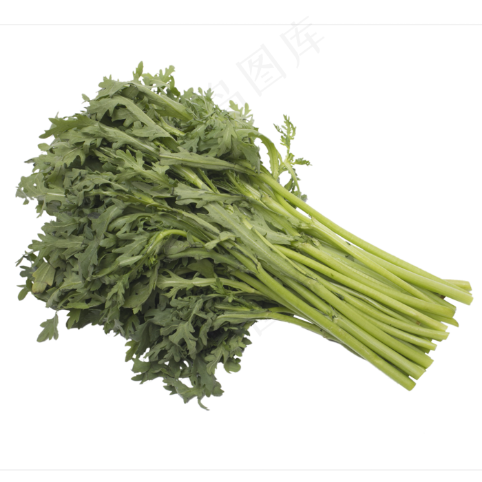 绿色茼蒿菜(2000*2000px 300 dpi )