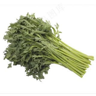 绿色茼蒿菜