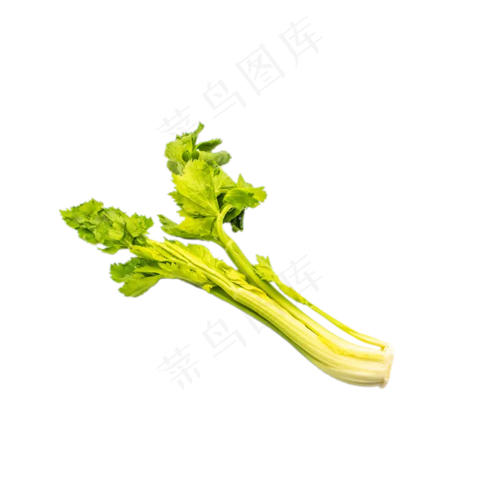 有机绿色蔬菜