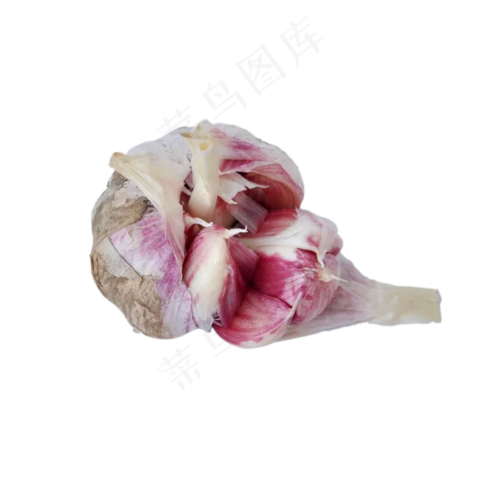 新鲜大蒜(2000X2000(DPI:300))