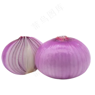 农作物蔬菜洋葱