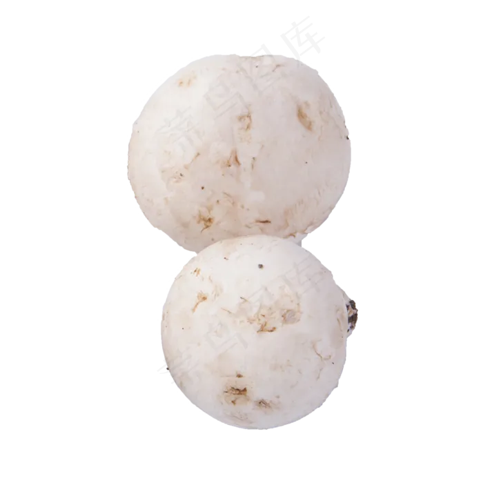 白蘑菇(png免抠）(2000X2000(DPI:72))psd模版下载