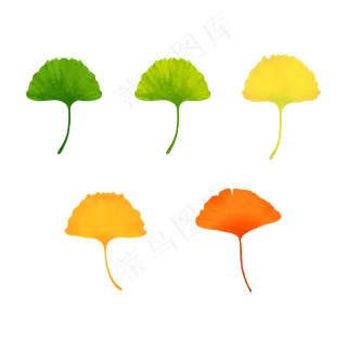 二十四节气秋分