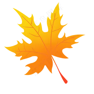 秋天落叶枫叶