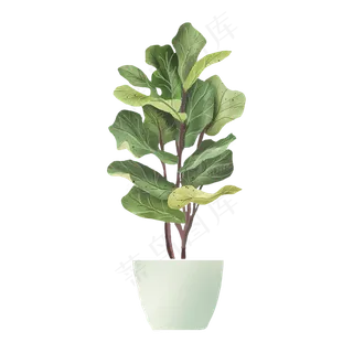 中国水墨手绘花卉