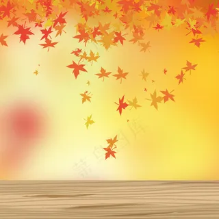 秋天树叶文艺木板实景