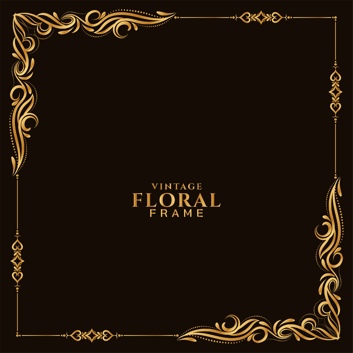 抽象金花框架背景向量