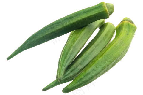 绿色蔬菜秋葵 绿色蔬菜秋葵