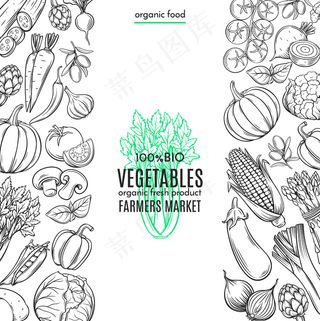 带手绘蔬菜的模板边框
