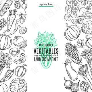 带手绘蔬菜的模板边框