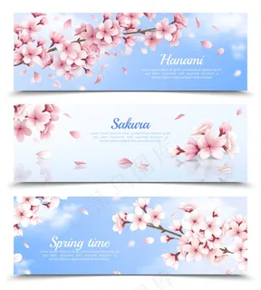 真实的三个水平横幅banner与樱花在蓝天背景独立插图 真实的三个水平横幅banner与樱花在蓝天背景独立插图