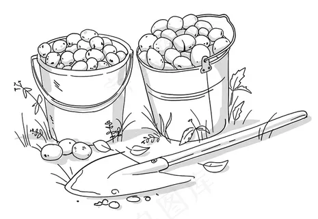 两桶马铃薯块茎和一把铲子。秋收蔬菜。