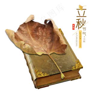 立秋书本树叶装饰