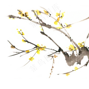 傲雪腊梅水墨画PNG免抠素材