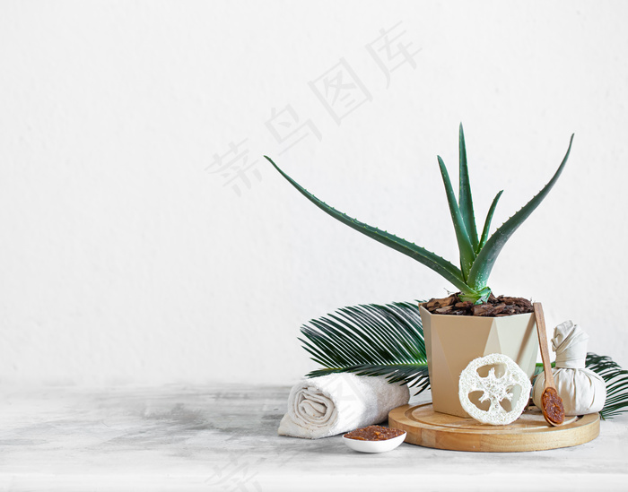 浅色背景上有护理用品的Spa组合