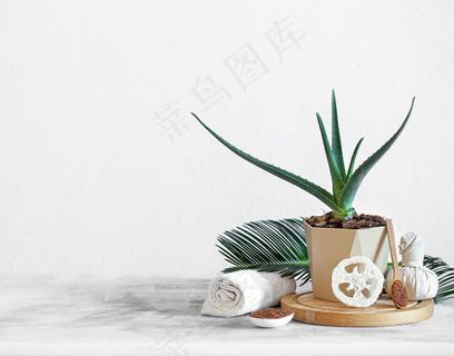 浅色背景上有护理用品的Spa组合