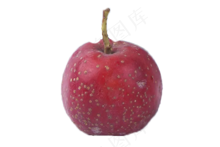 开胃新鲜山楂(2000X1333(DPI:240))psd模版下载