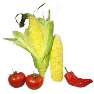 玉米西红柿辣椒蔬菜组合 玉米西红柿辣椒蔬菜组合