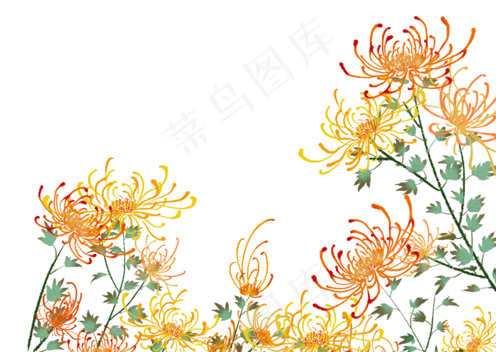 重阳节中国风传统节日菊花(1740X1236(DPI:300))psd模版下载