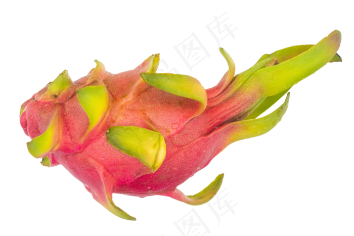 新鲜火龙果实物(3000*2000px 300 dpi )