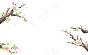 梅花花朵