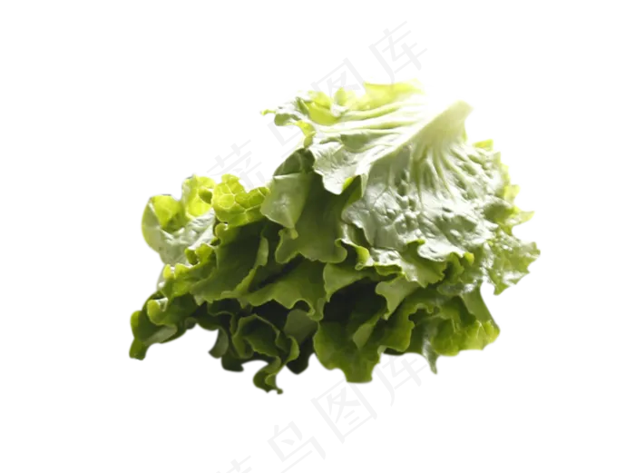 一颗生菜(1261X938(DPI:72))psd模版下载