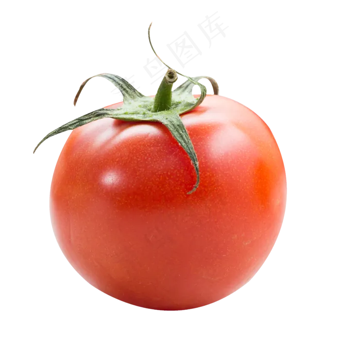 西红柿番茄(2274*2292px 300 dpi )
