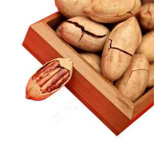 坚果小食品长寿果