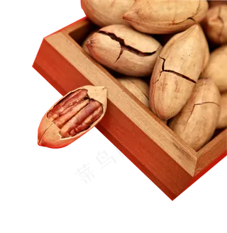 坚果小食品长寿果
