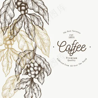 咖啡树树枝模板