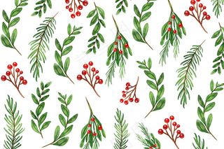 水彩圣诞树树枝背景