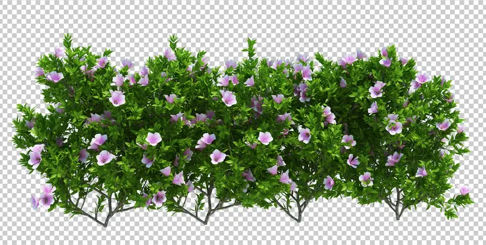 3d渲染笔刷树隔离在白色上psd模版下载