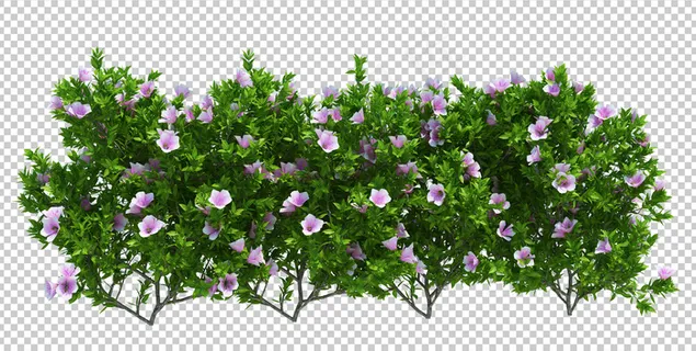 3d渲染笔刷树隔离在白色上 3d渲染笔刷树隔离在白色上