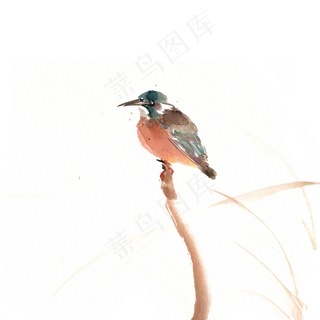 孤独的小鸟 孤独的小鸟