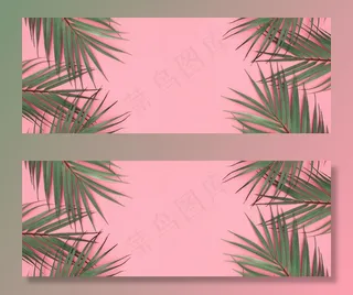 粉红色的绿色棕榈叶