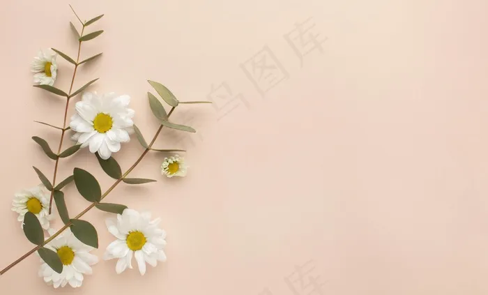复制空间盛开的花朵
