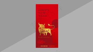 红色春节节气海报