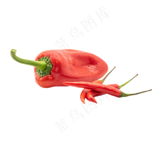 红色菜椒辣椒