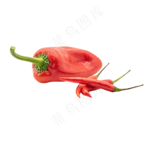 红色菜椒辣椒